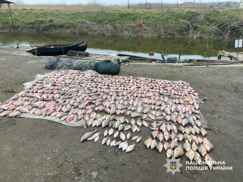 В Ізмаїльському районі на двох озерах виявили браконьєрів: загалом у них вилучили понад тисячу рибин В Ізмаїльському районі на двох озерах виявили браконьєрів: загалом у них вилучили понад тисячу рибин