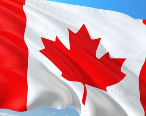 Канада передасть Україні 449 броньованих машин у новому пакеті допомоги Канада передасть Україні 449 броньованих машин у новому пакеті допомоги