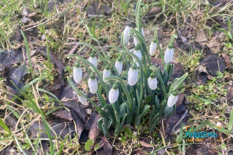 На Одещині очікується потепління: який прогноз погоди на найближчі дні На Одещині очікується потепління: який прогноз погоди на найближчі дні