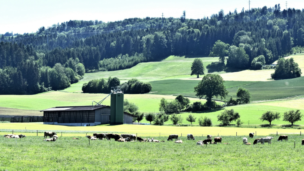 Німеччина хоче імпортувати «зелений газ» з України Німеччина хоче імпортувати «зелений газ» з України