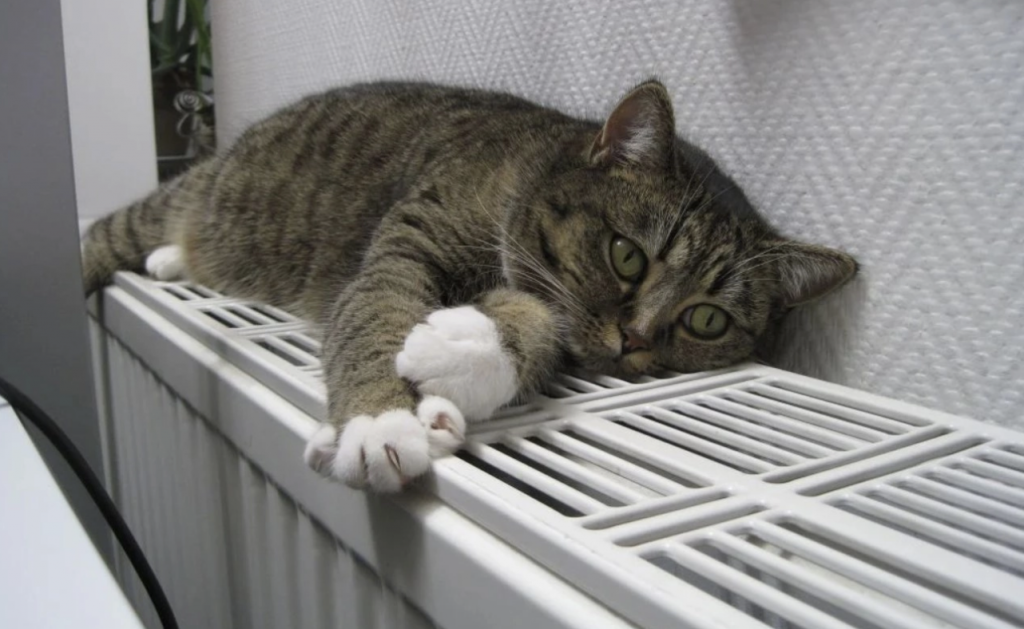 В Одесі опалювальний сезон закінчиться з урахуванням погодних умов(фото) В Одесі опалювальний сезон закінчиться з урахуванням погодних умов(фото)