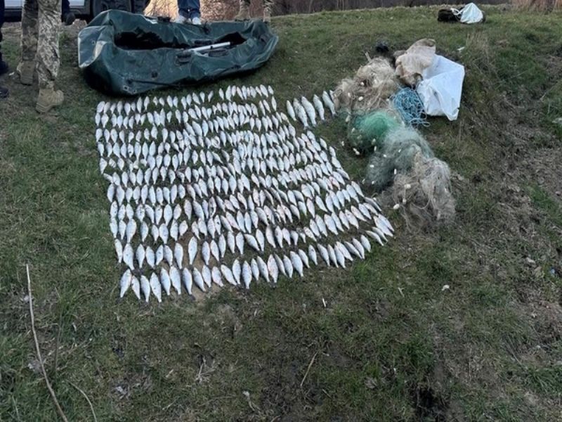 Наловив риби на півмільйона гривень: на Одещині затримали браконьєра Наловив риби на півмільйона гривень: на Одещині затримали браконьєра