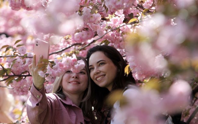 Встигніть на сакури: як доїхати до Ужгорода та Мукачева, де шукати найгарніші локації Встигніть на сакури: як доїхати до Ужгорода та Мукачева, де шукати найгарніші локації
