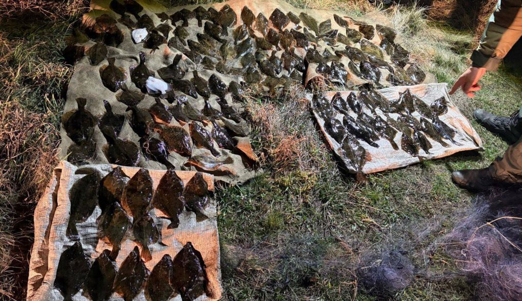 На Тилігульському лимані викрили браконьєра з уловом на 234 тисячі гривень На Тилігульському лимані викрили браконьєра з уловом на 234 тисячі гривень