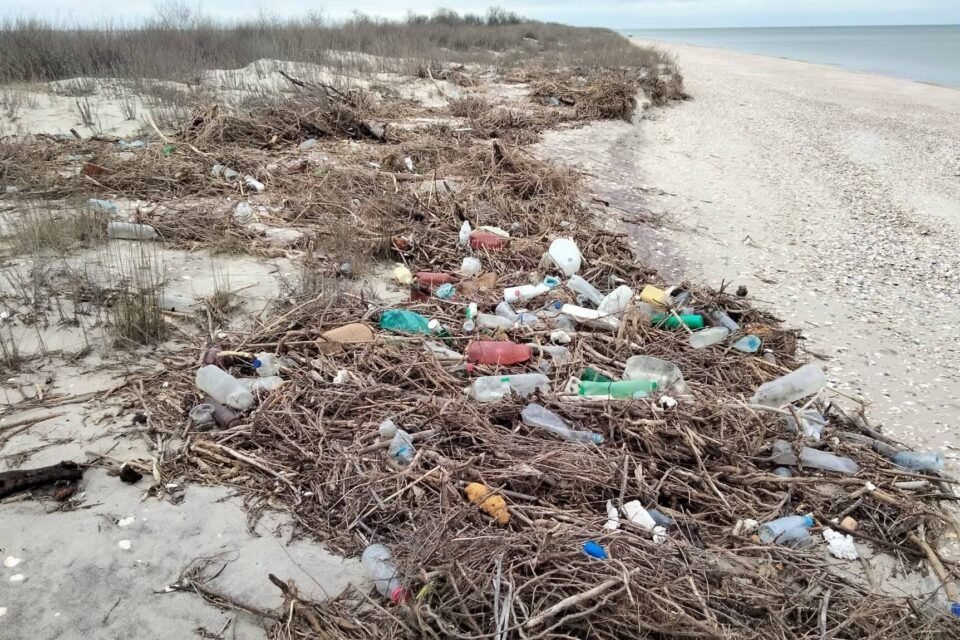 Як завдяки зібраному пластиковому сміттю у нацпарку на Одещині допомагатимуть військовим Як завдяки зібраному пластиковому сміттю у нацпарку на Одещині допомагатимуть військовим