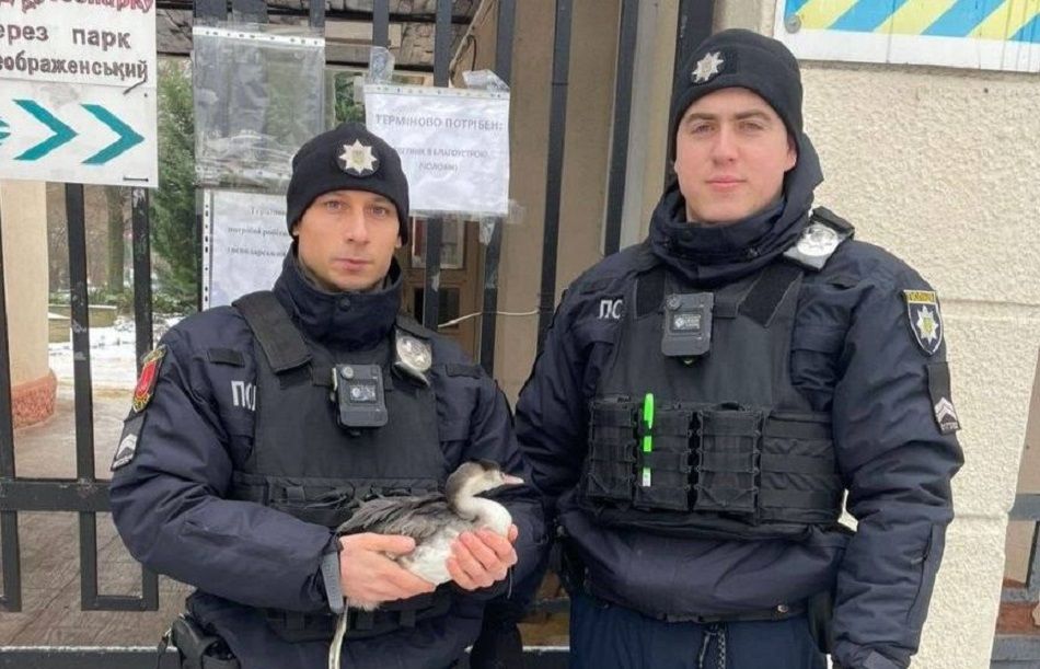 Дві різні історії: одеські патрульні, які раніше рятували інших, нині в тяжкому стані після стрілянини Дві різні історії: одеські патрульні, які раніше рятували інших, нині в тяжкому стані після стрілянини