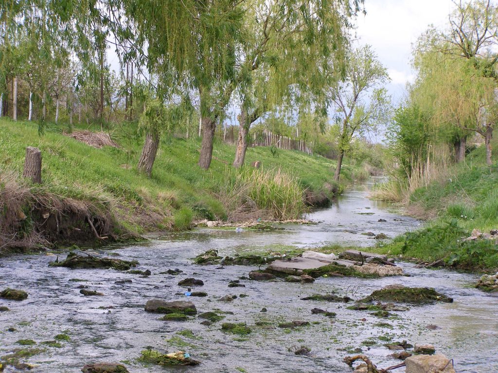 На півдні Одещини може зникнути ще одна річка На півдні Одещини може зникнути ще одна річка
