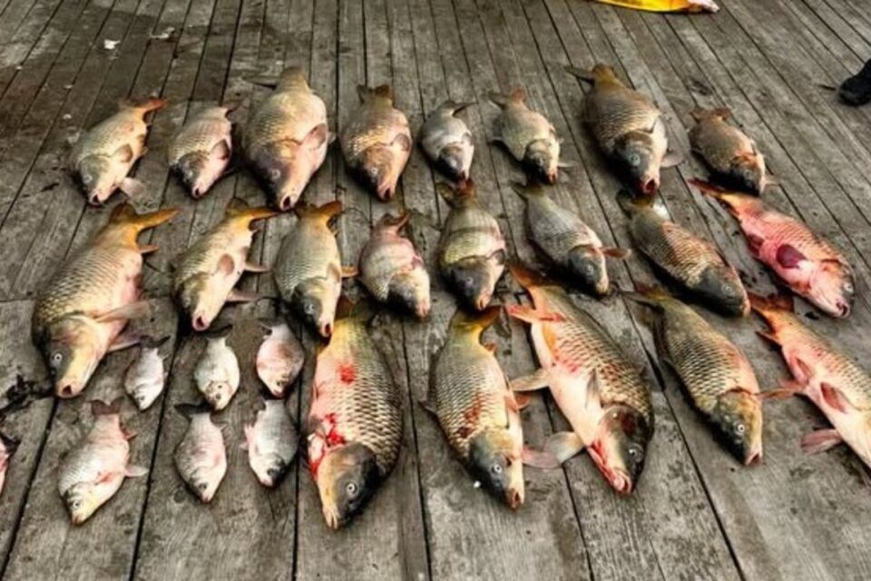 На Дністровському лимані затримали браконьєра із забороненими знаряддями лову На Дністровському лимані затримали браконьєра із забороненими знаряддями лову