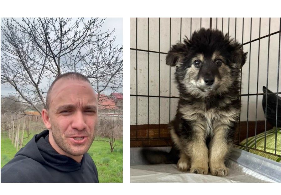 Ізмаїльський волонтер починає будівництво притулку для хворих тварин Ізмаїльський волонтер починає будівництво притулку для хворих тварин