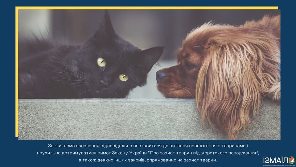 Шановні мешканці міста Ізмаїл! Шановні мешканці міста Ізмаїл!