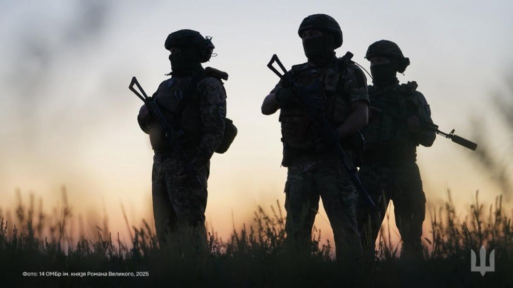 Наразі майже вся наша армія складається з мобілізованих людей, - експерт Наразі майже вся наша армія складається з мобілізованих людей, - експерт