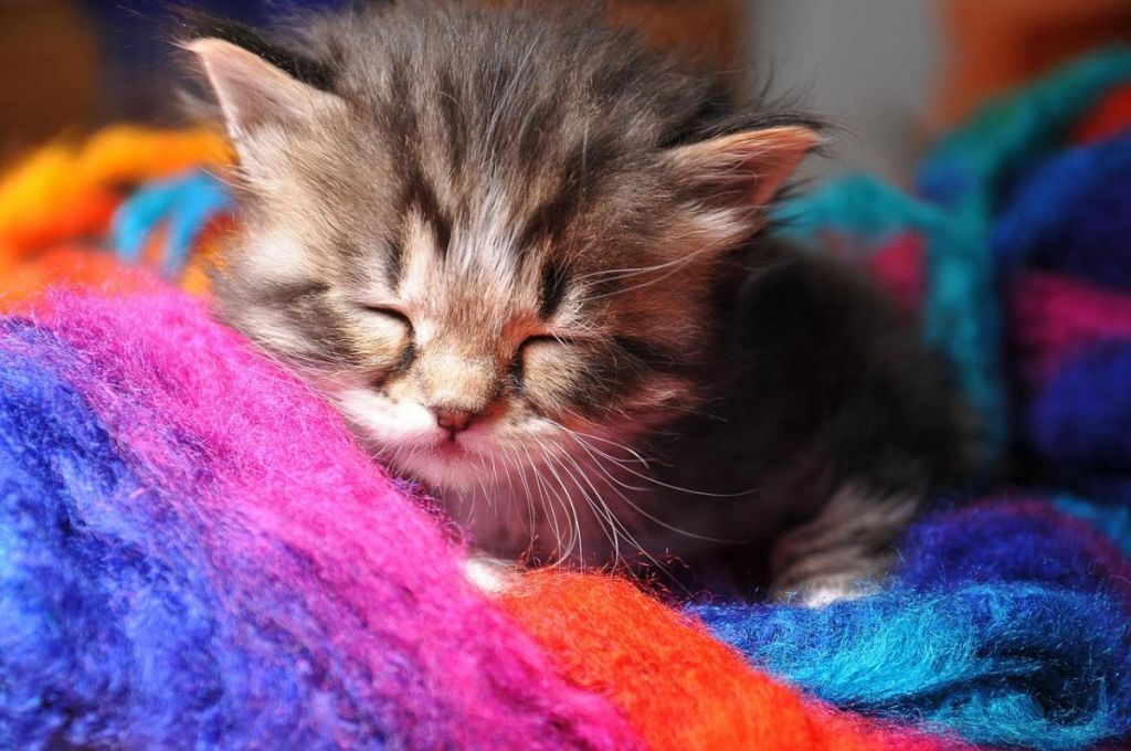 7 квітня в Україні різко похолоднішає: температура впаде по всій країні 7 квітня в Україні різко похолоднішає: температура впаде по всій країні