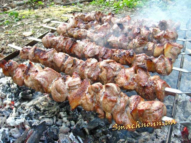 Два види м'яса для шашлику, які найкорисніше готувати на відкритому вогні Два види м'яса для шашлику, які найкорисніше готувати на відкритому вогні