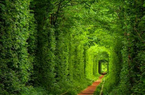 Атмосферні місця України: куди поїхати у вікенд навесні Атмосферні місця України: куди поїхати у вікенд навесні