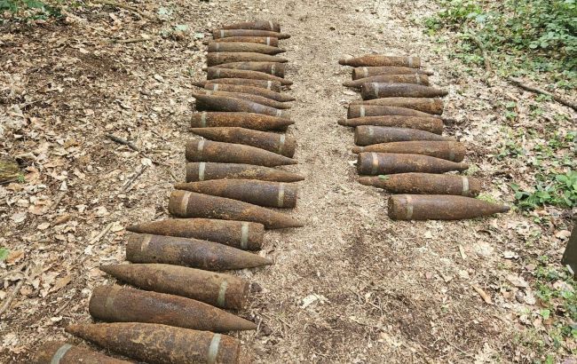 У Берліні в лісі знайшли 59 нерозірваних радянських снарядів часів Другої світової У Берліні в лісі знайшли 59 нерозірваних радянських снарядів часів Другої світової