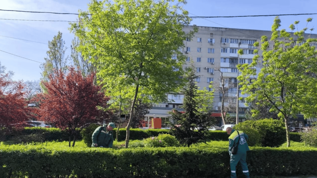 В Одесі перерахують дерева та кущі: вартість інвентарізації(фото) В Одесі перерахують дерева та кущі: вартість інвентарізації(фото)