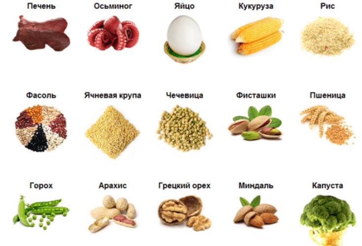 Продукти корисні для щитовидної залози: де найбільше йоду, селену, цинку Продукти корисні для щитовидної залози: де найбільше йоду, селену, цинку