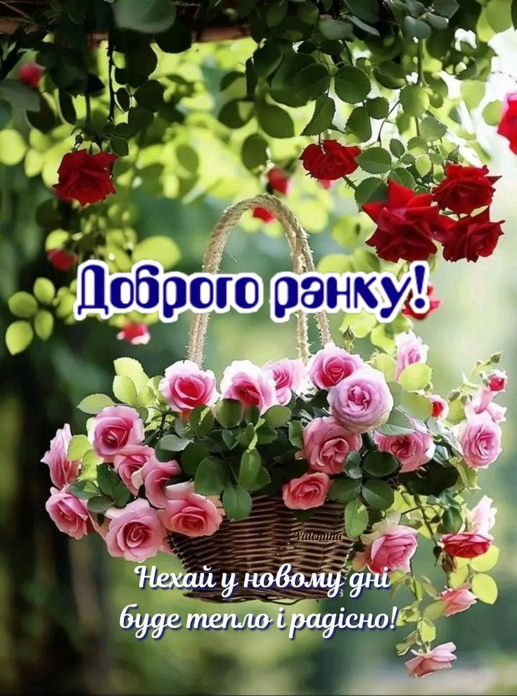 Доброго ранку Ізмаїл! Прогноз погоди на сьогодні Доброго ранку Ізмаїл! Прогноз погоди на сьогодні