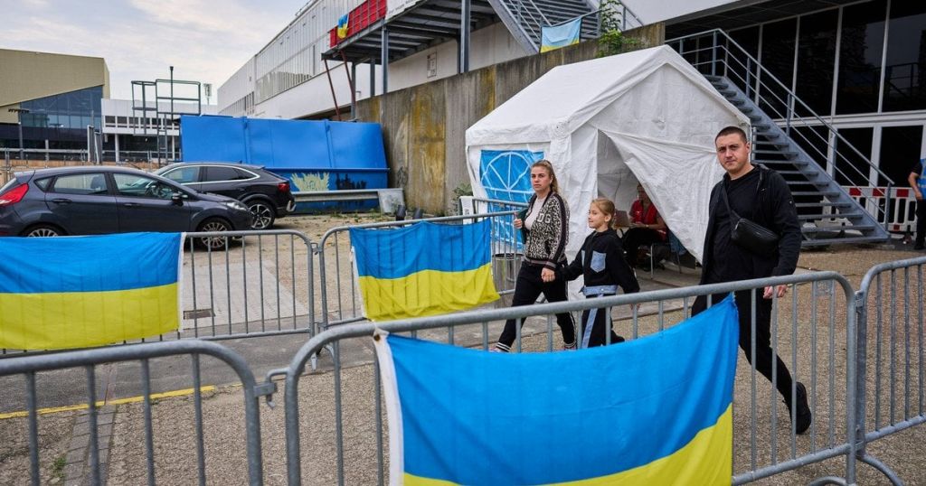 У “Дії” оновили важливу послугу для українців за кордоном: що змінилося У “Дії” оновили важливу послугу для українців за кордоном: що змінилося