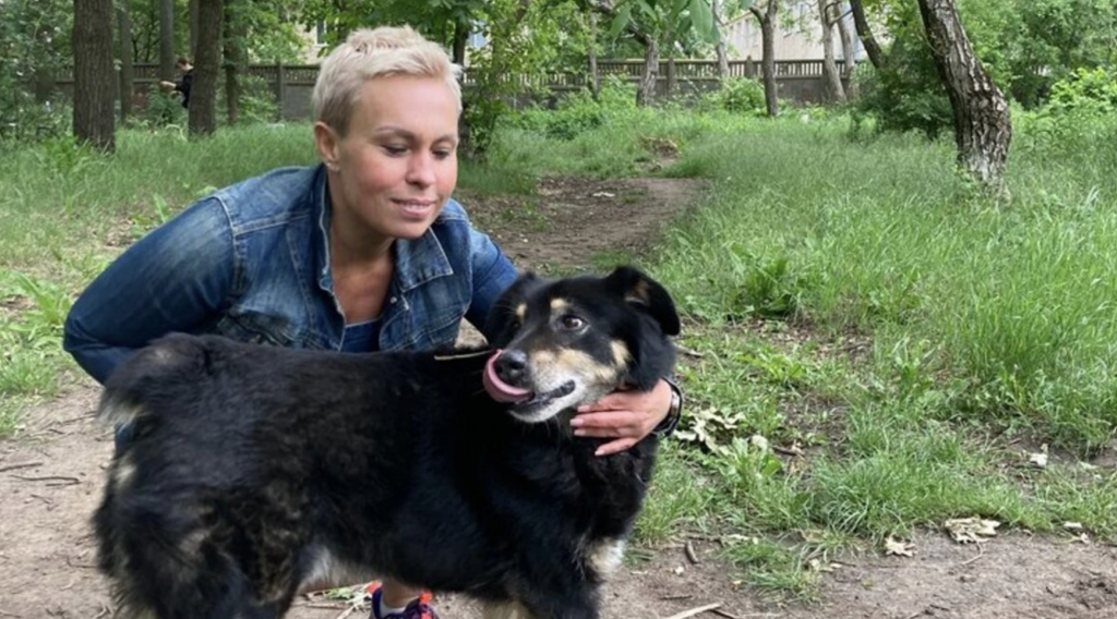 В Одесі шукають родини для собак із Херсона, врятованих після підриву Каховської ГЕС В Одесі шукають родини для собак із Херсона, врятованих після підриву Каховської ГЕС