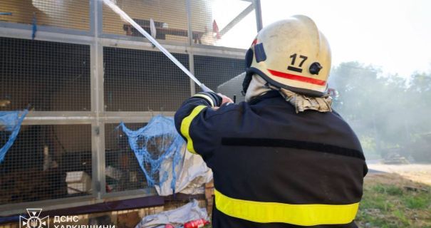 У Харкові внаслідок ворожого удару по зоопарку загинули тварини У Харкові внаслідок ворожого удару по зоопарку загинули тварини