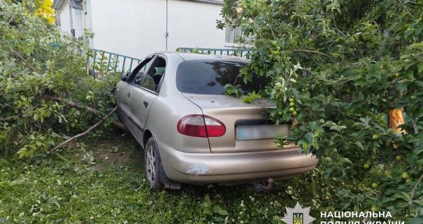 На Черкащині водійка "під градусом" врізалася в дерево, травмовано двох дітей(фото) На Черкащині водійка "під градусом" врізалася в дерево, травмовано двох дітей(фото)