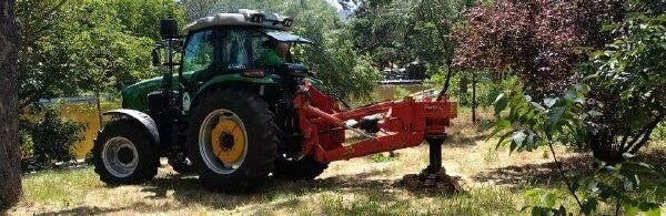 В Одесі прибрали 353 пні та готують масштабне озеленення(фото) В Одесі прибрали 353 пні та готують масштабне озеленення(фото)