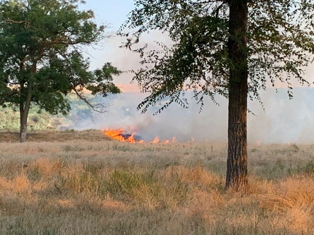 В Арцизькій громаді між річками Чага та Когильник палала лісопосадка: вогонь ледь не знищив місцеву екосистему В Арцизькій громаді між річками Чага та Когильник палала лісопосадка: вогонь ледь не знищив місцеву екосистему