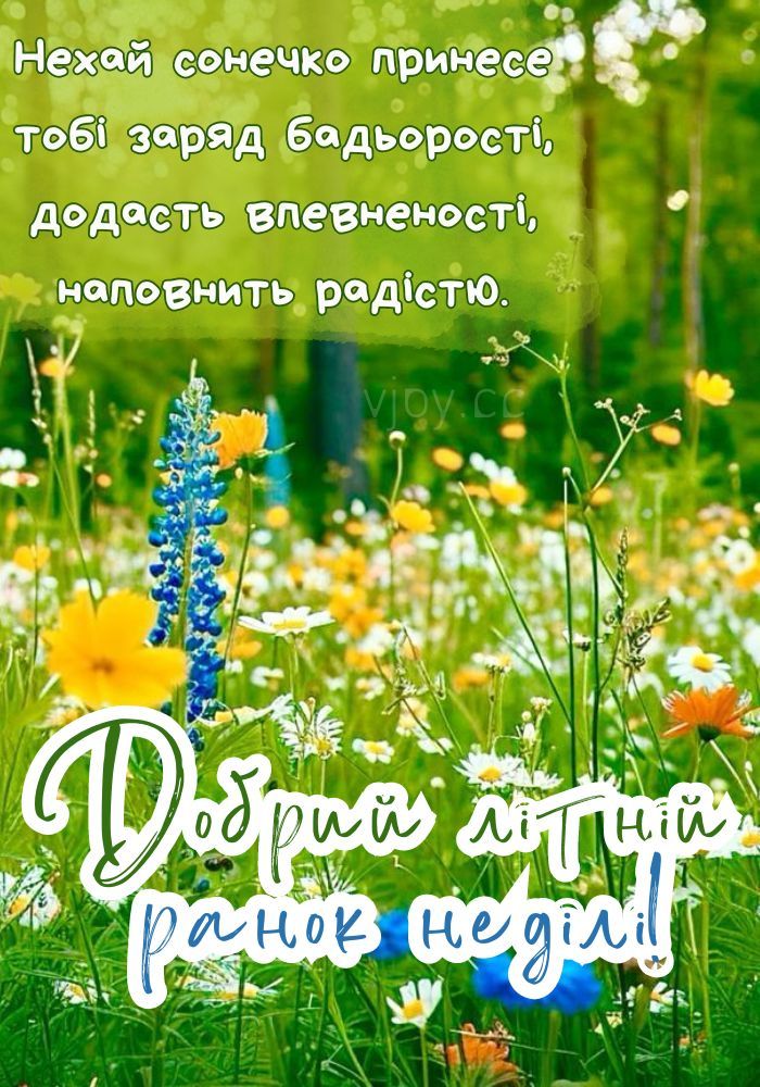 Доброго ранку Ізмаїл! Прогноз погоди на сьогодні Доброго ранку Ізмаїл! Прогноз погоди на сьогодні