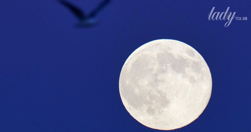 Повня у Водолії 29 липня 2026 року: що на нас чекає в цей час Повня у Водолії 29 липня 2026 року: що на нас чекає в цей час