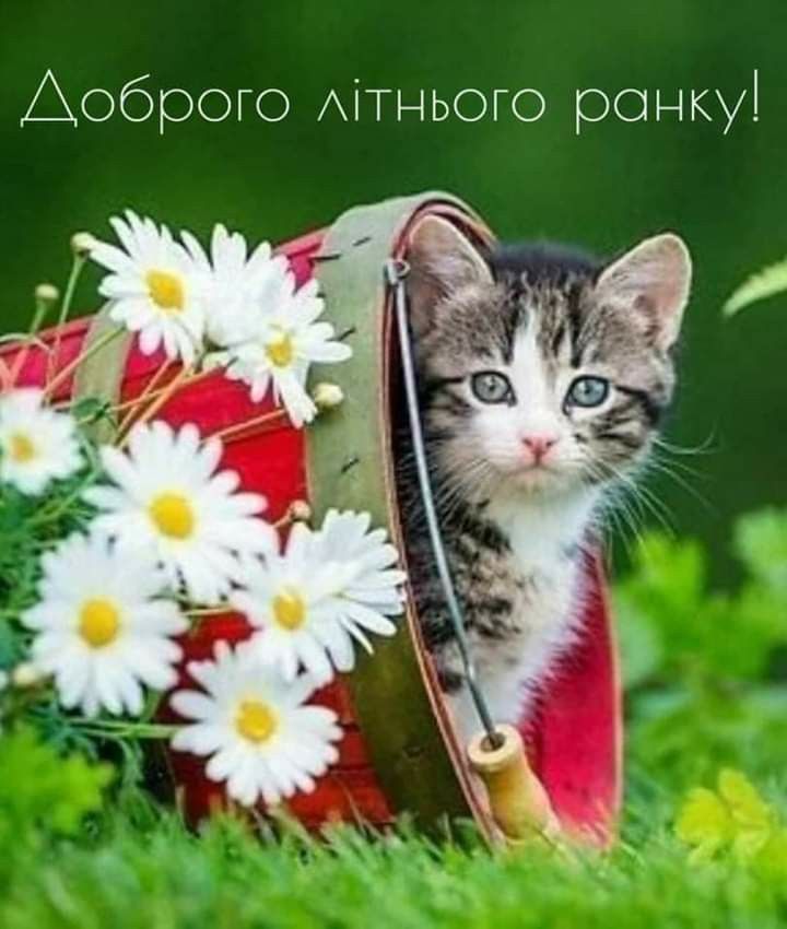 Доброго ранку Ізмаїл! Прогноз погоди на сьогодні Доброго ранку Ізмаїл! Прогноз погоди на сьогодні