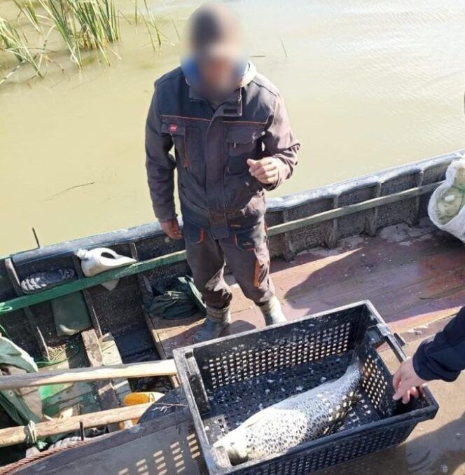 Незаконний вилов червонокнижного лосося у Дунайському заповіднику обійшовся двом рибалкам у десятки тисяч гривень Незаконний вилов червонокнижного лосося у Дунайському заповіднику обійшовся двом рибалкам у десятки тисяч гривень