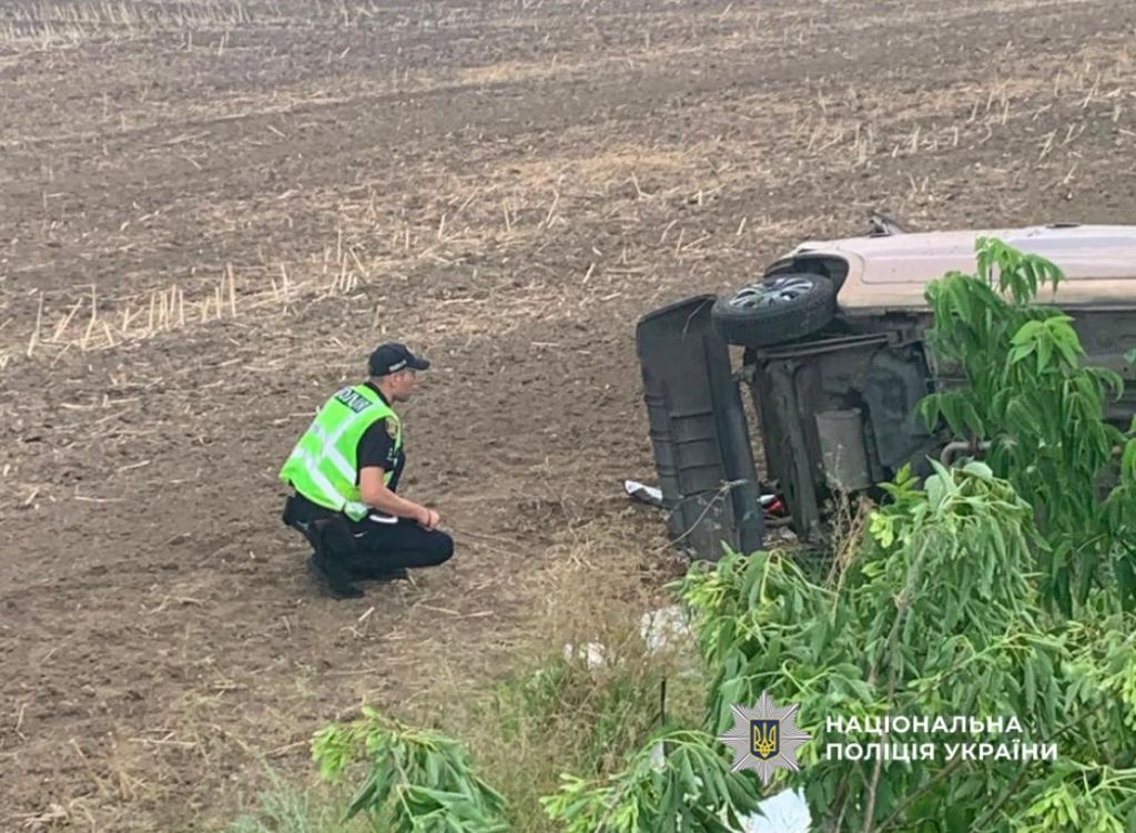 На трасі Одеса-Рені 39-річна водійка не впоралася з керуванням і вилетіла в кювет: постраждав її син На трасі Одеса-Рені 39-річна водійка не впоралася з керуванням і вилетіла в кювет: постраждав її син