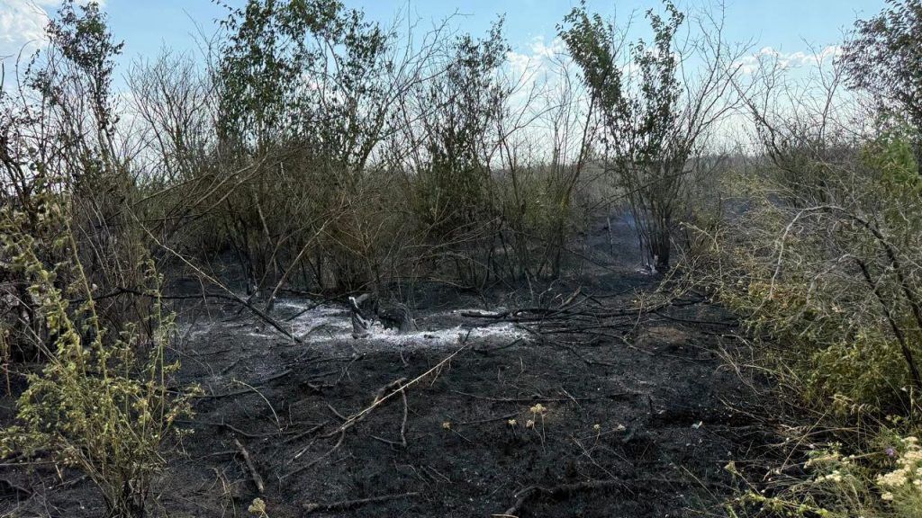 Поблизу села Плахтіївка горіло сміттєзвалище: вогонь перекинувся на дерева та поля навкруги(фото) Поблизу села Плахтіївка горіло сміттєзвалище: вогонь перекинувся на дерева та поля навкруги(фото)