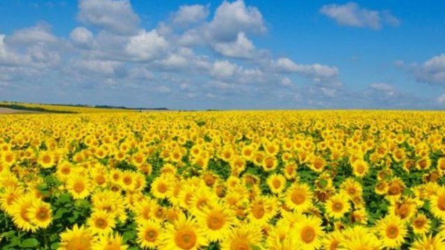 5 серпня: Яке сьогодні свято, все про цей день 5 серпня: Яке сьогодні свято, все про цей день