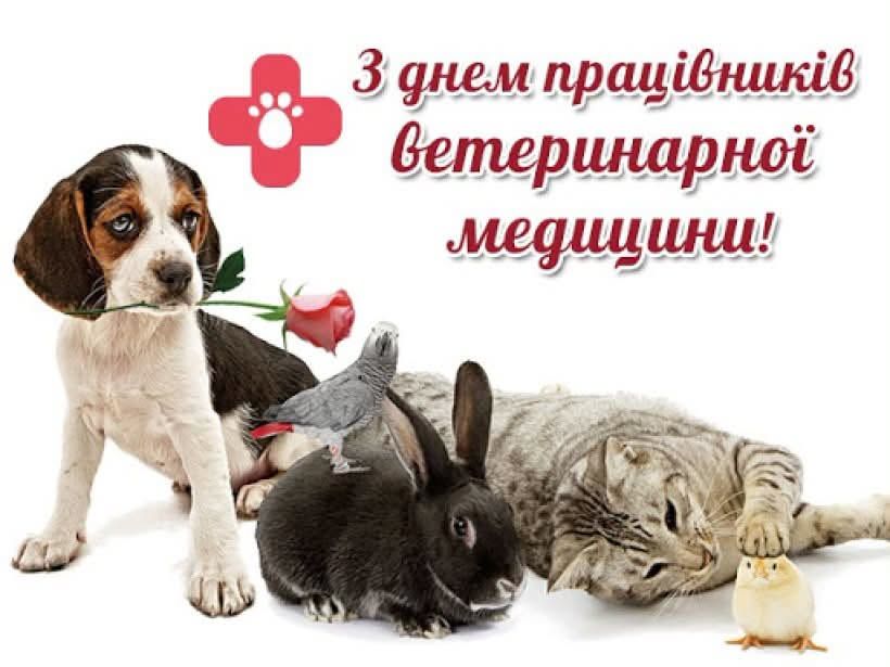 Шановні працівники ветеринарної медицини, щиро вітаю вас із професійним святом! Шановні працівники ветеринарної медицини, щиро вітаю вас із професійним святом!