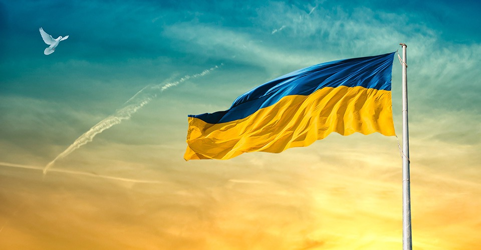 Ідентифікація та реєстрація тварин Ідентифікація та реєстрація тварин