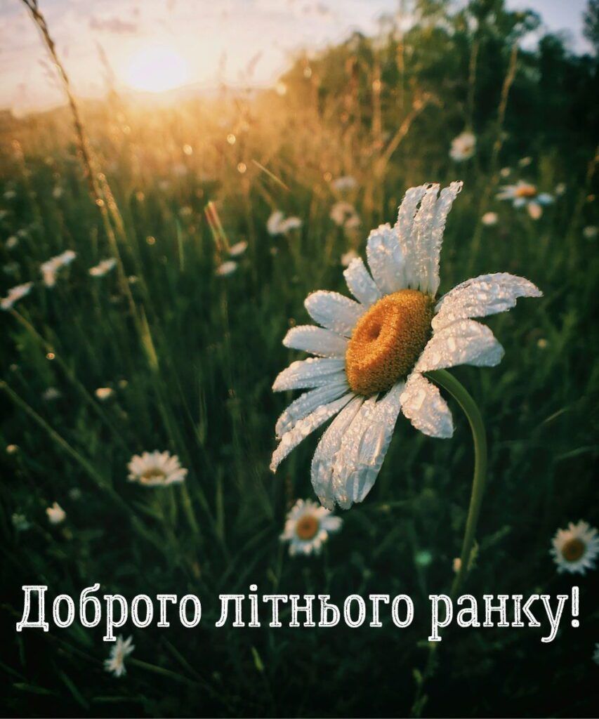 Доброго ранку Ізмаїл! Прогноз погоди на сьогодні Доброго ранку Ізмаїл! Прогноз погоди на сьогодні