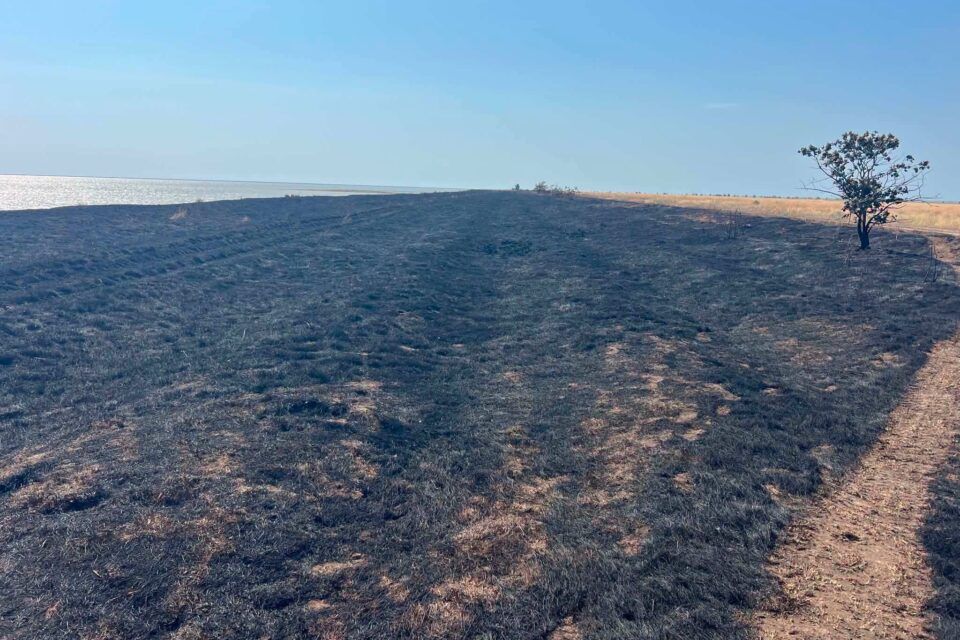 У серпні через російські обстріли та людську безвідповідальність у нацпарку на Одещині пожежі знищували гектари екосистем У серпні через російські обстріли та людську безвідповідальність у нацпарку на Одещині пожежі знищували гектари екосистем