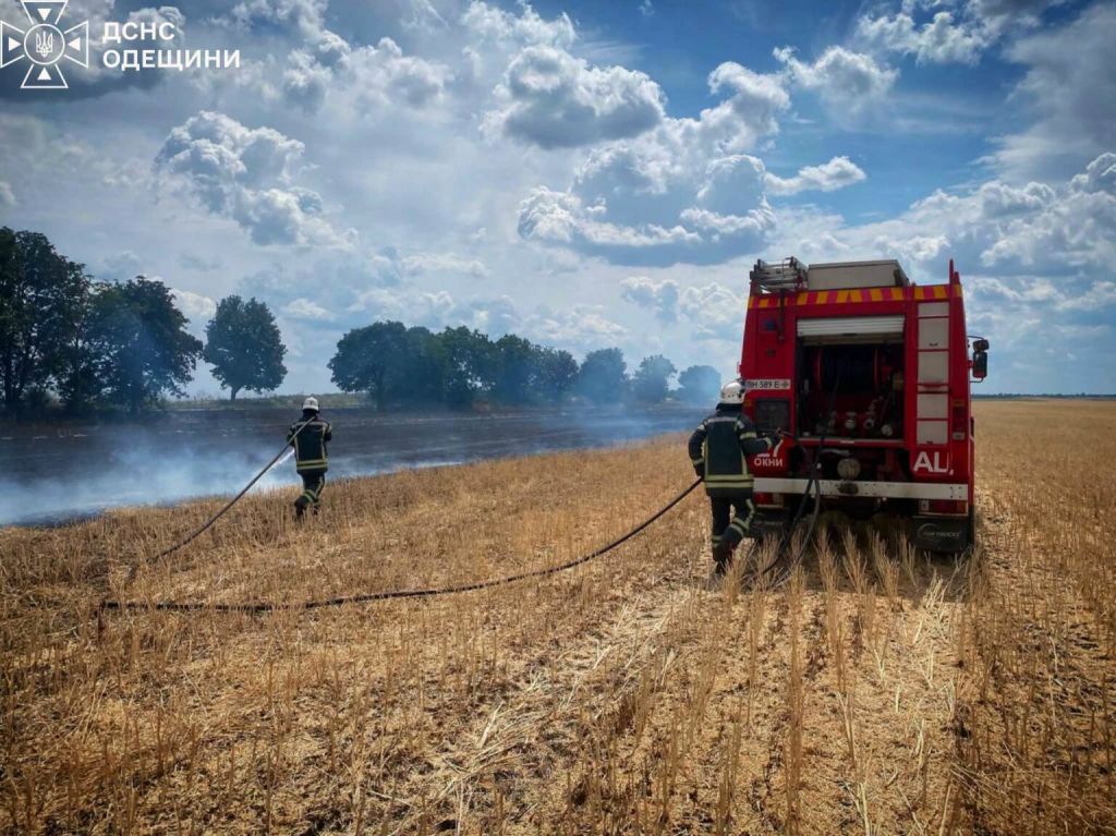 Збитки від пожеж в екосистемах Одещини сягнули двох мільярдів гривень(фото) Збитки від пожеж в екосистемах Одещини сягнули двох мільярдів гривень(фото)