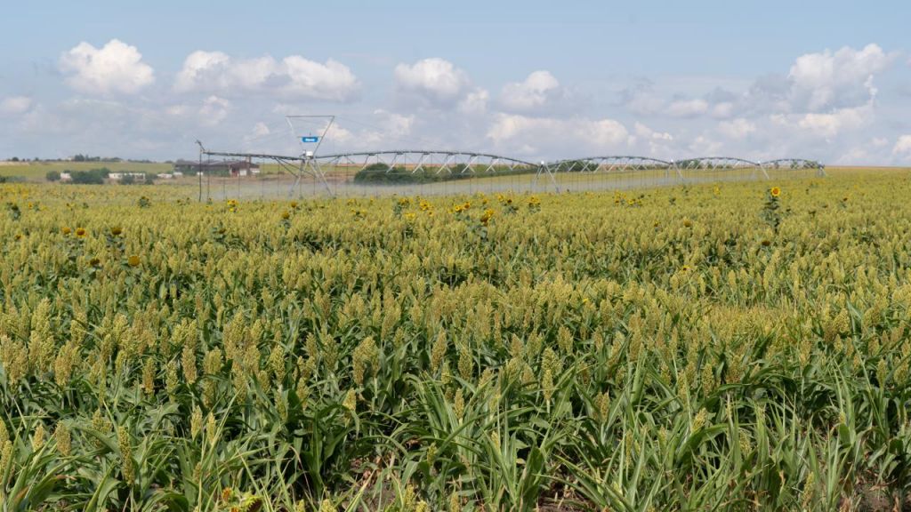 Агровиробникам Одещини продемонстрували американські технології для модернізації зрошення Агровиробникам Одещини продемонстрували американські технології для модернізації зрошення