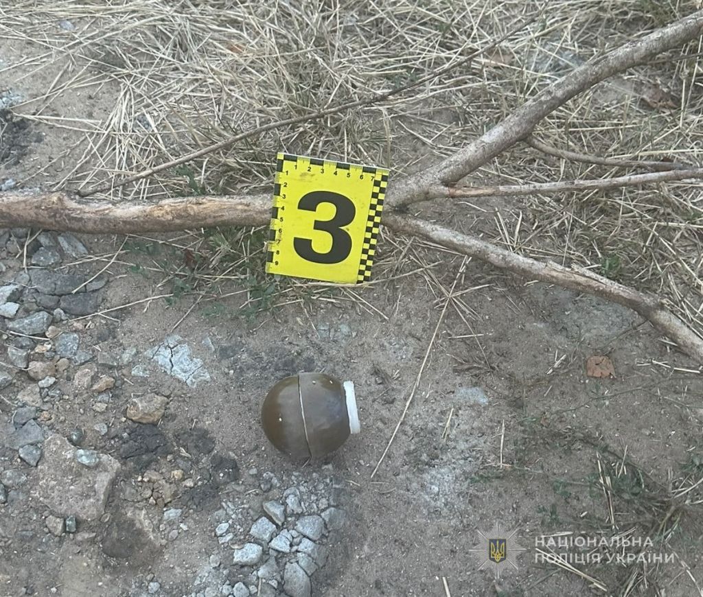На Одещині поліцейські затримали жінку, яка кинула гранати на подвір’я сусідів(фото) На Одещині поліцейські затримали жінку, яка кинула гранати на подвір’я сусідів(фото)