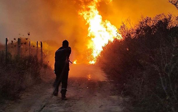 В одній з країн планують запровадити смертну кару за підпал лісу В одній з країн планують запровадити смертну кару за підпал лісу