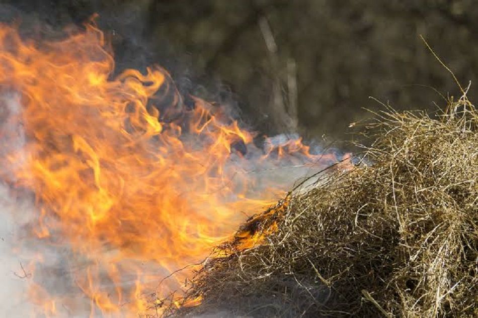 На Одещині сталася масштабна пожежа: горіли 1800 тонн соломи На Одещині сталася масштабна пожежа: горіли 1800 тонн соломи