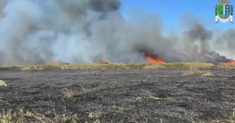 Пожежа в Дунайському біосферному заповіднику охопила понад 1000 гектарів території та завдала збитків на майже 15 млрд грн Пожежа в Дунайському біосферному заповіднику охопила понад 1000 гектарів території та завдала збитків на майже 15 млрд грн