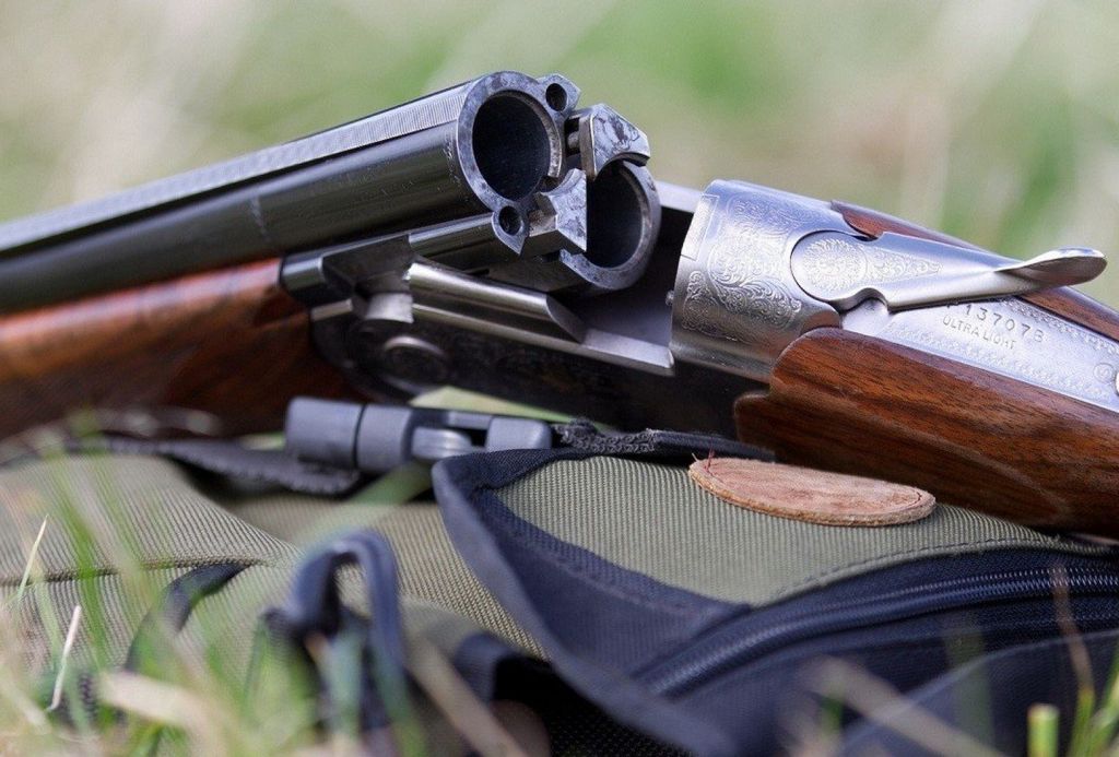Одесити влаштували збройне полювання на птахів під Ізмаїлом Одесити влаштували збройне полювання на птахів під Ізмаїлом