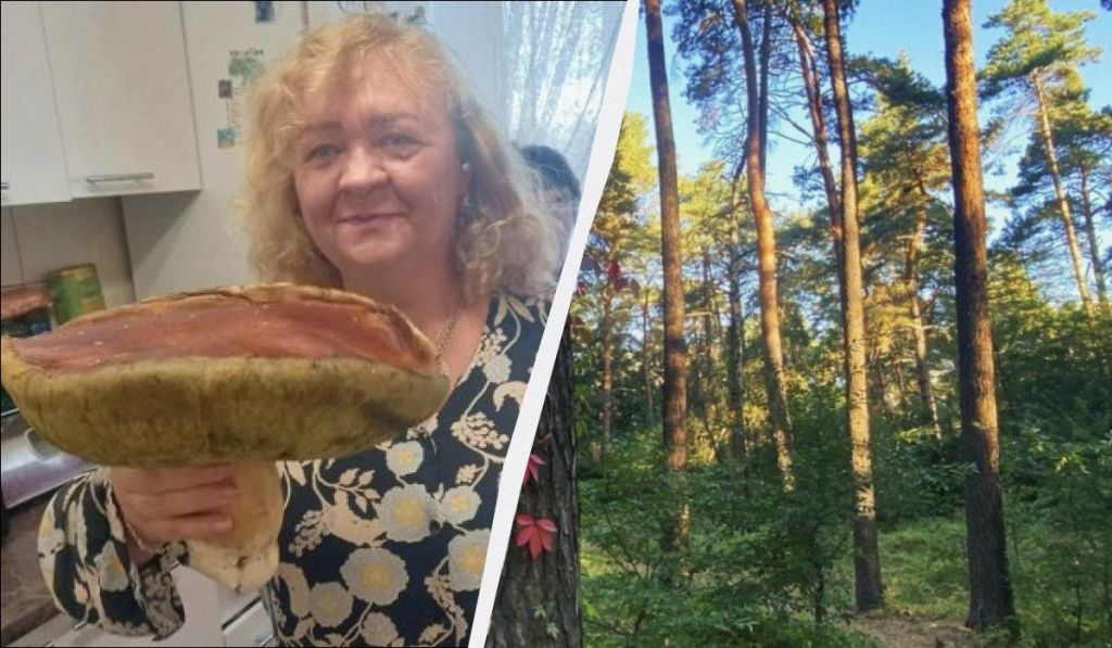 На Волині знайшли білий гриб вагою майже 2 кілограми (фото) На Волині знайшли білий гриб вагою майже 2 кілограми (фото)