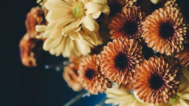 17 вересня: Яке сьогодні свято, все про цей день 17 вересня: Яке сьогодні свято, все про цей день