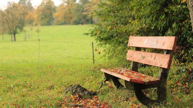23 вересня: Яке сьогодні свято, все про цей день 23 вересня: Яке сьогодні свято, все про цей день