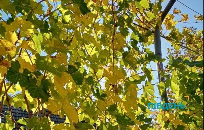 Яка погода очікується у жовтні на Одещині Яка погода очікується у жовтні на Одещині